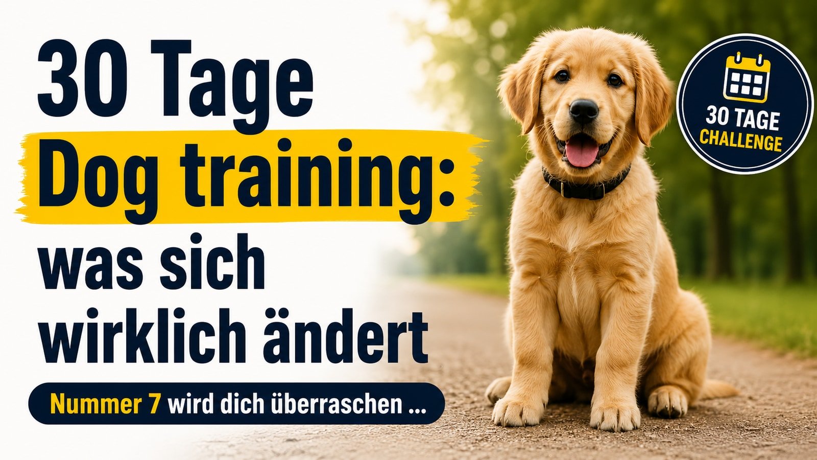 30 Tage Dog training: was sich wirklich ändert